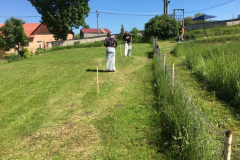 SportovyDen-2019_007