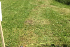 SportovyDen-2019_011