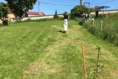 SportovyDen-2019_016