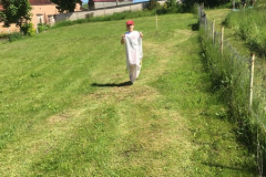 SportovyDen-2019_033