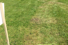 SportovyDen-2019_147